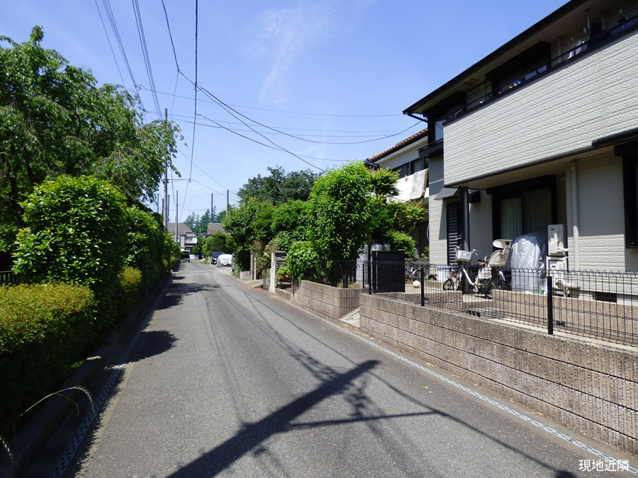 現地写真