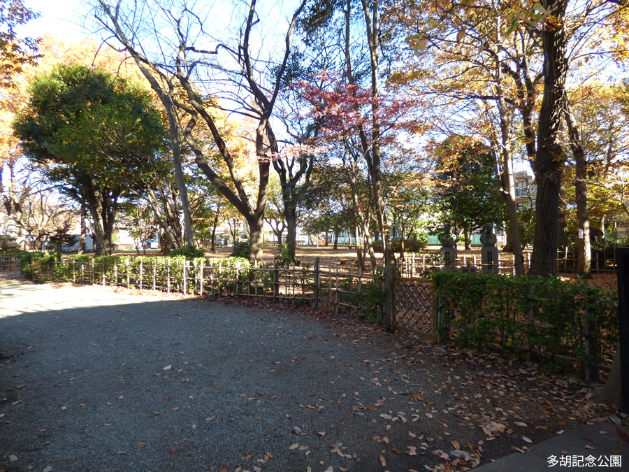 現地写真