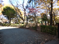 現地写真